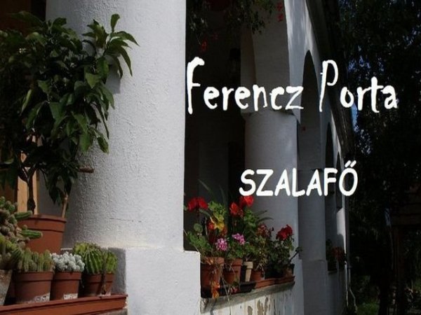 ferencz-porta-1