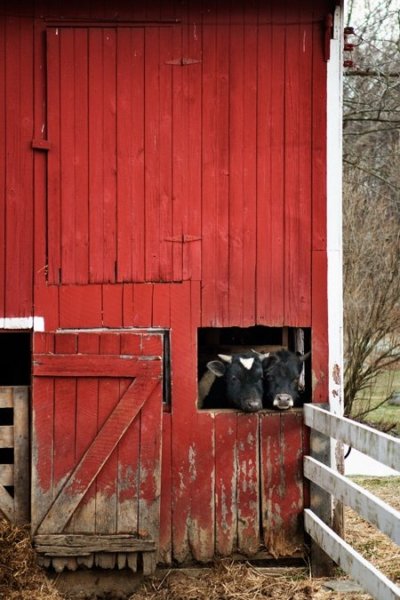 the-ironstone-nest-barn-6